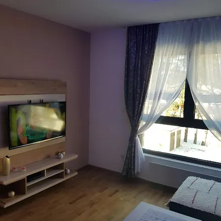 Fenix Apartment Zlatibor